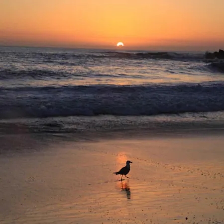 Ocean House & Perfect For *