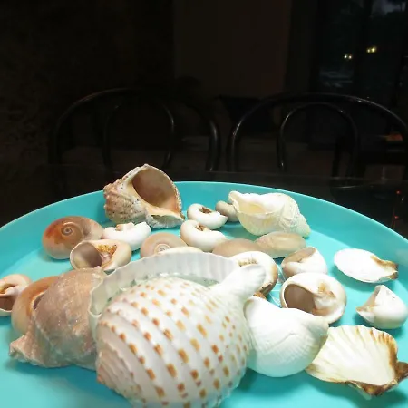 Ocean House & Perfect For דירה אדחה
