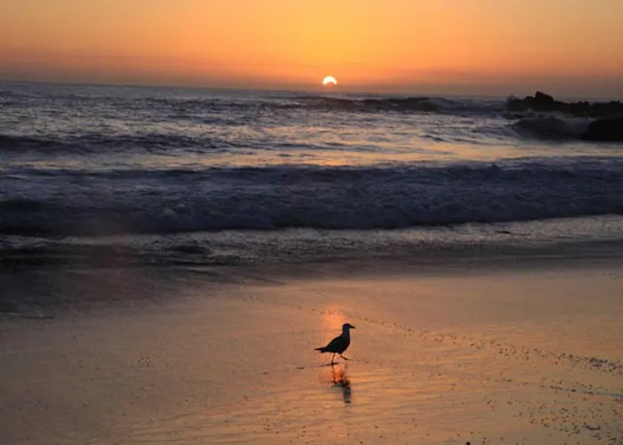 Ocean House & Perfect For *