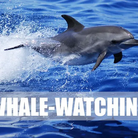 Апартаменты Ocean House & Perfect For Адехе